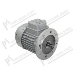 Motore trifase 0,3/0,15HP 400V 50/60Hz 1,5/1A